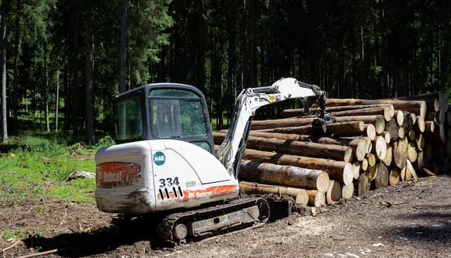 how to clear a wooded lot