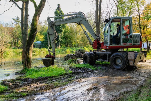 How to Clear Overgrown Land