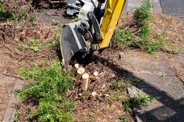 how to remove bush stumps