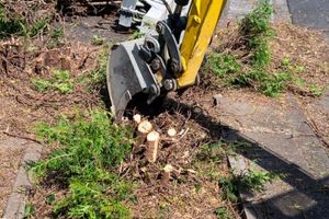 removing-shrubs-and-roots-